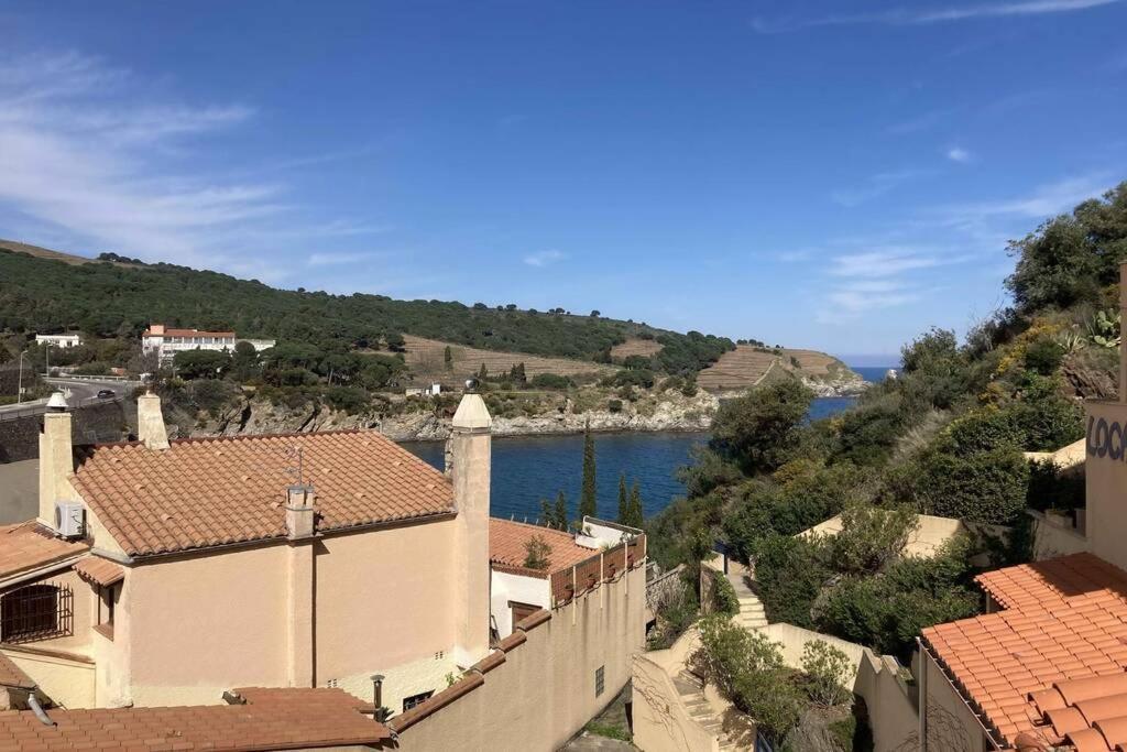 T3 Pieds Dans L'Eau Clim Wifi Terrasse Vue Mer Banyuls-sur-Mer Exteriör bild