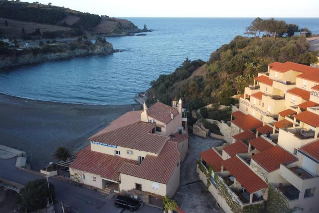 T3 Pieds Dans L'Eau Clim Wifi Terrasse Vue Mer Banyuls-sur-Mer Exteriör bild